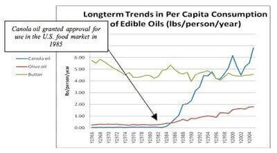 canola oil consumption unhealthy why not to eat canola oil