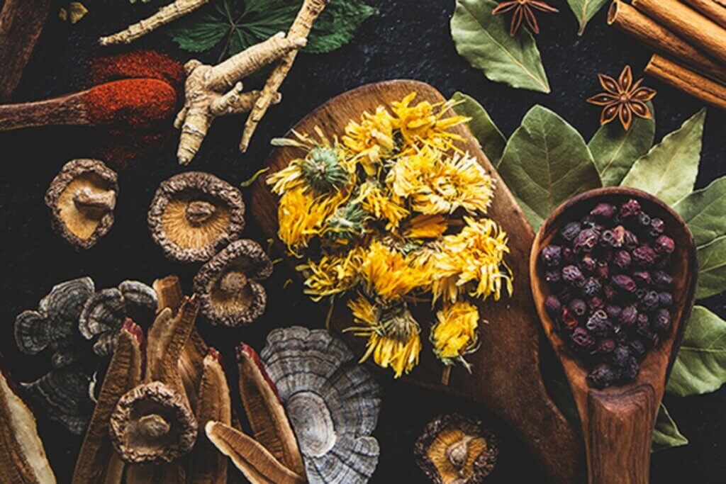 Mountain Rose Herbs