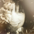 Corinne Avatar
